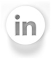 LinkedIn social media button